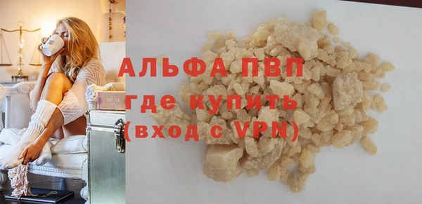 индика Богородск