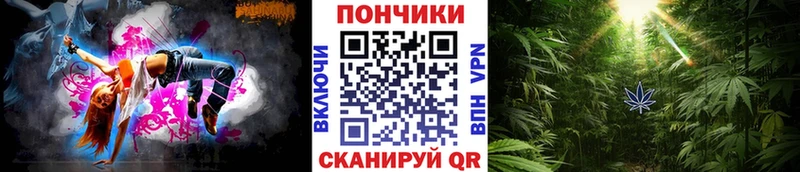 Бошки Шишки тримм  Купить закладки  Петропавловск-Камчатский 